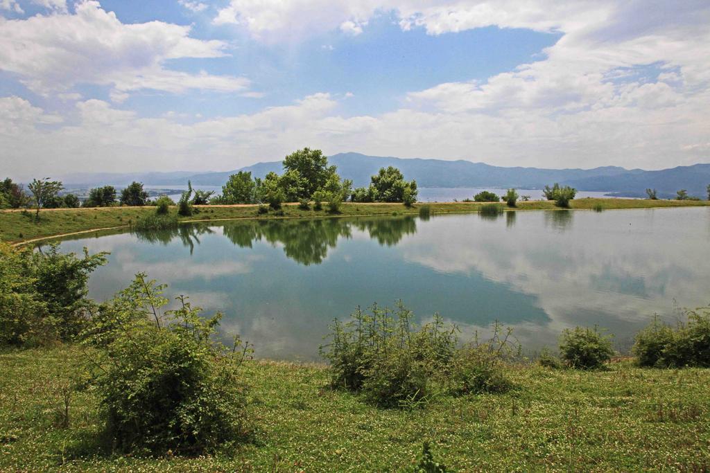 Refanidis Natural Luxury Hotel Ano Poroia Exterior photo